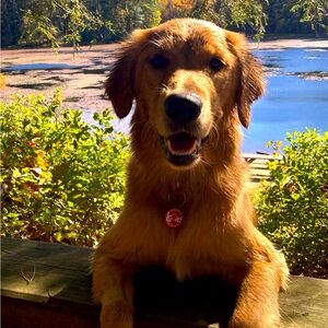 Meet your Posher, Biscuit